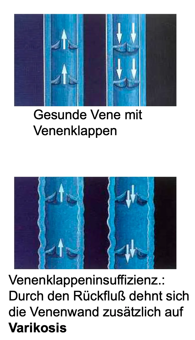 Bildschirmfoto 2023-09-01 um 11.19.24.png