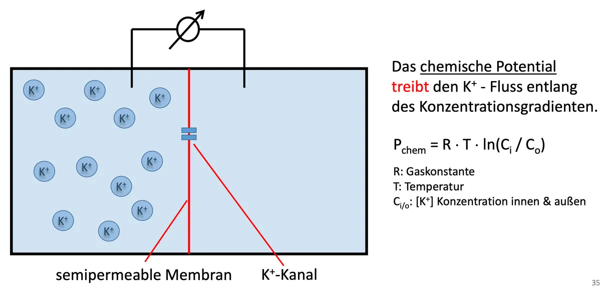 Bildschirmfoto 2023-09-02 um 17.49.57.png