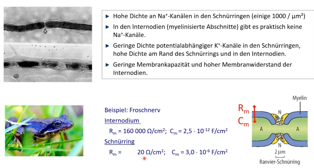 Bildschirmfoto 2023-09-03 um 15.43.11.png